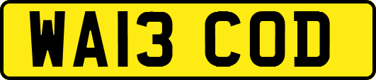 WA13COD