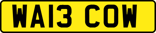 WA13COW
