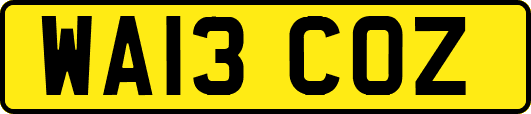 WA13COZ