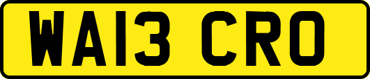 WA13CRO
