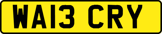 WA13CRY