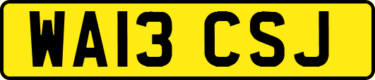 WA13CSJ