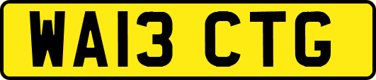 WA13CTG