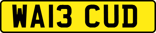 WA13CUD