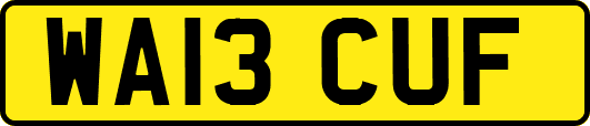 WA13CUF