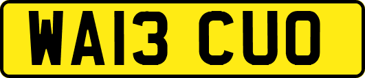 WA13CUO
