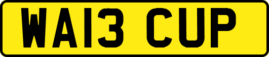 WA13CUP