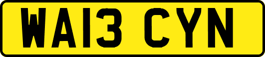 WA13CYN