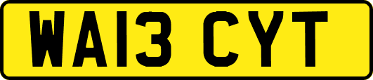 WA13CYT