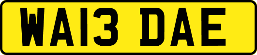 WA13DAE
