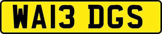 WA13DGS