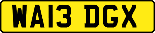 WA13DGX
