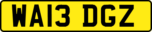 WA13DGZ