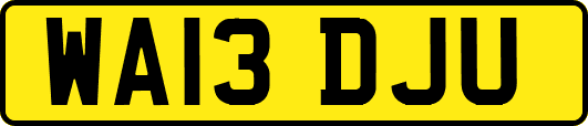 WA13DJU