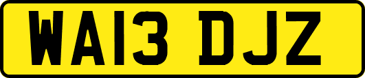 WA13DJZ