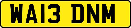 WA13DNM