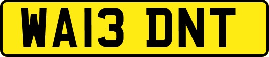 WA13DNT