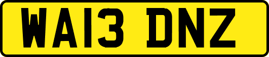 WA13DNZ