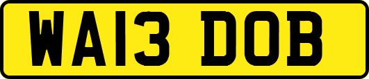WA13DOB