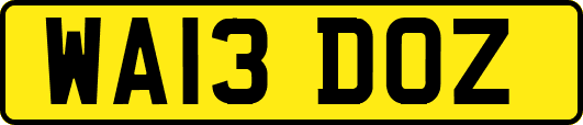 WA13DOZ