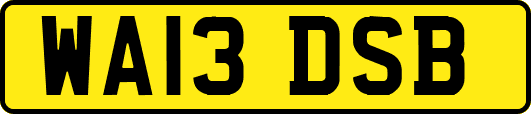 WA13DSB