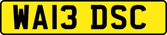 WA13DSC