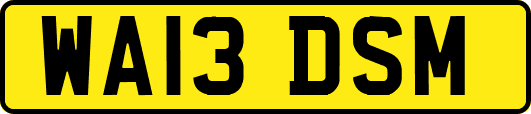 WA13DSM