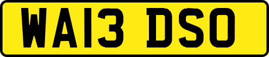 WA13DSO