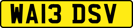 WA13DSV