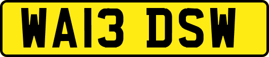 WA13DSW