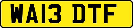 WA13DTF
