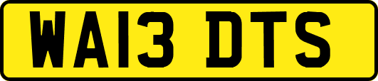 WA13DTS
