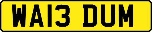 WA13DUM