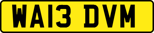 WA13DVM