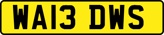 WA13DWS
