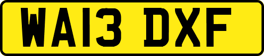 WA13DXF