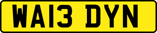 WA13DYN