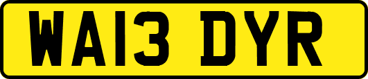 WA13DYR