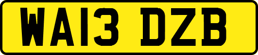 WA13DZB