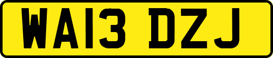 WA13DZJ