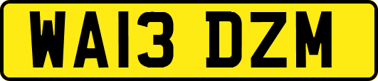 WA13DZM