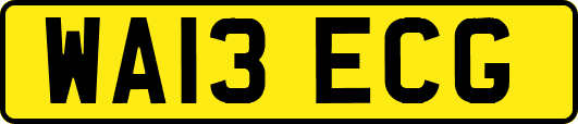 WA13ECG