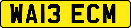 WA13ECM