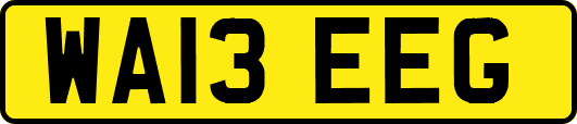 WA13EEG