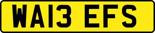 WA13EFS