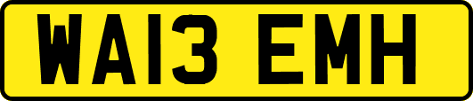 WA13EMH