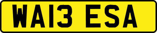 WA13ESA
