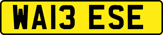 WA13ESE