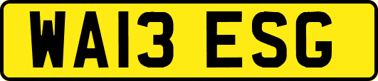 WA13ESG