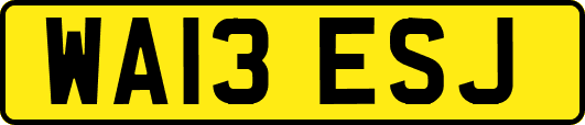 WA13ESJ